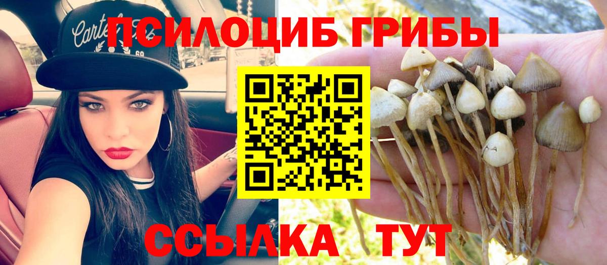 Галлюциногенные грибы прущие грибы Касимов