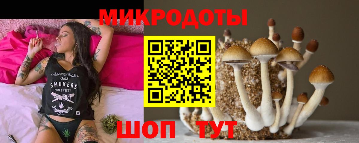 Псилоцибиновые грибы Cubensis  Галлюциногенные грибы GOLDEN TEACHER  купить наркоту  Касимов  Вход с VPN 